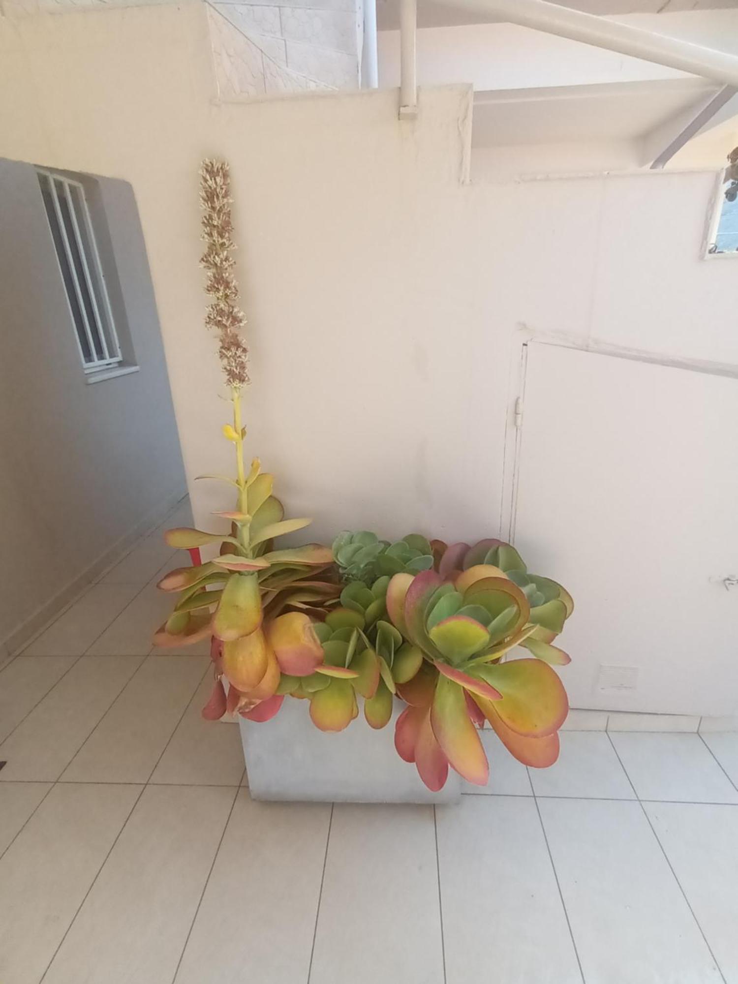 Cathrin Beach Apartments Stavrós المظهر الخارجي الصورة