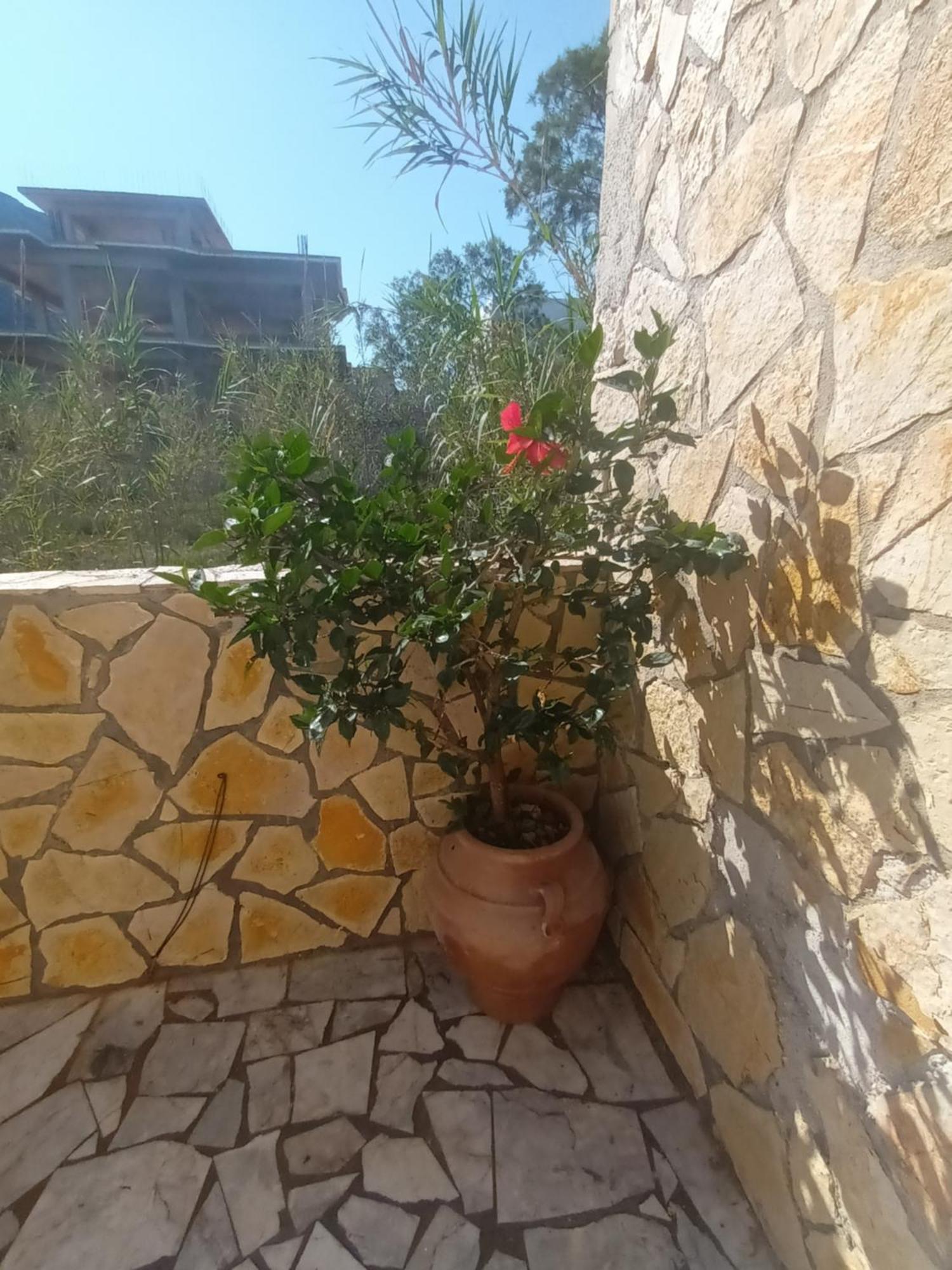 Cathrin Beach Apartments Stavrós المظهر الخارجي الصورة